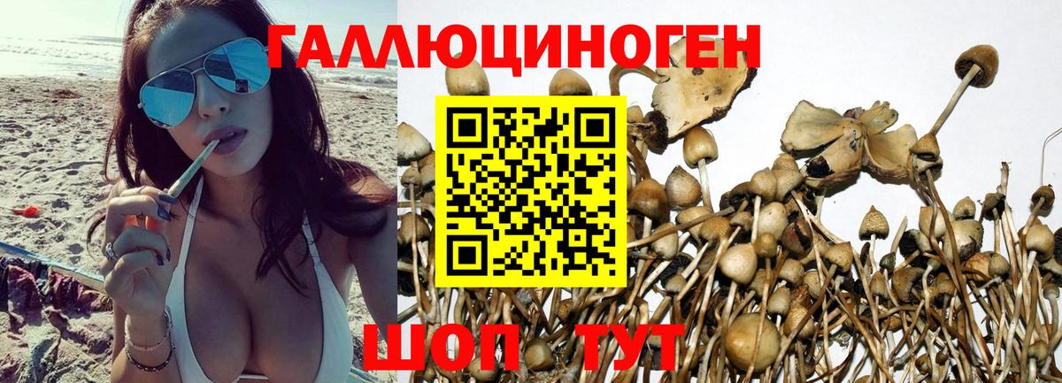 Галлюциногенные грибы Psilocybe  Вход с VPN  Нефтекамск 