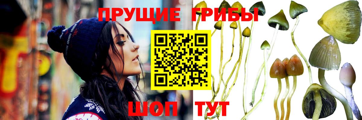 Галлюциногенные грибы GOLDEN TEACHER Нефтекамск